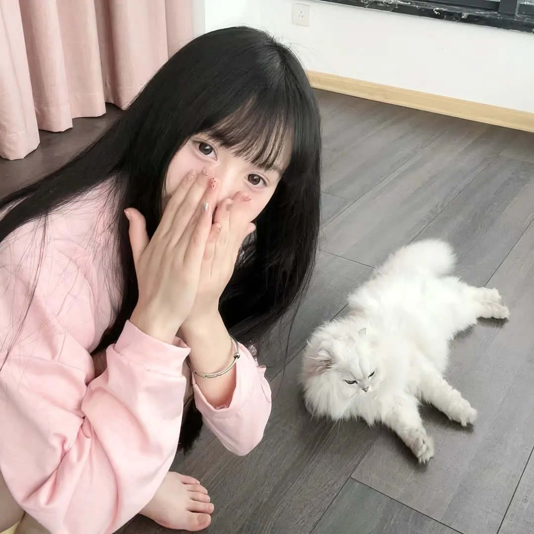 明月山海揽芳华